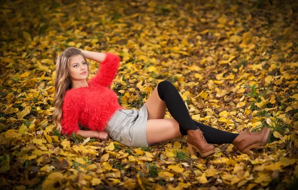 Beautiful elegant woman with red blouse and short skirt posing in park during fall. Young pretty woman with blonde hair lying down on autumnal leaves. Sensual blonde with black leggings in forest.