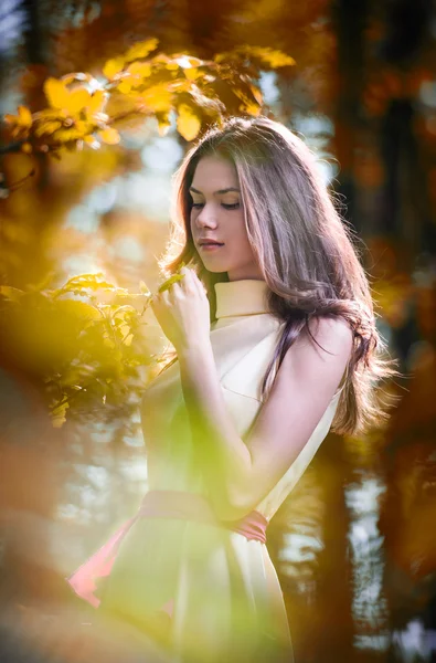 Young beautiful girl in a yellow dress in the woods. Portrait of romantic woman in fairy forest. Stunning fashionable teenage model in autumnal meadow, outdoor shot. Cute brunette long hair female.