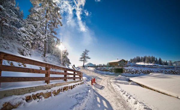 Narrow road covered by snow at countryside. Winter landscape with snowed trees, road and wooden fence. Cold winter day at countryside. Traditional Carpathian mountains village scenery, Romania