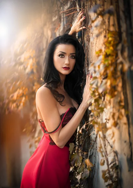 Beautiful sensual woman in red dress posing in autumnal park. Young brunette woman daydreaming near a wall with rusty leaves during fall season. Dark hair attractive woman with faded leaves around her