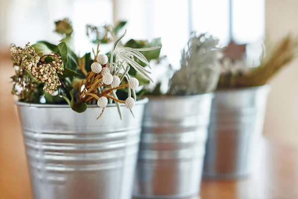 Beautiful bouquet of dried flowers