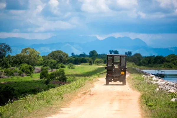 Safari jeep tour