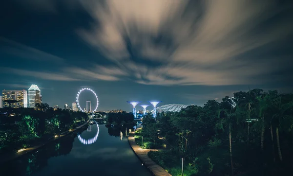 Night view of the Gardens by the Bay