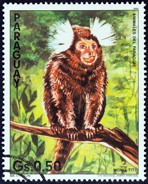 PARAGUAY - CIRCA 1985: A stamp printed in Paraguay from the \