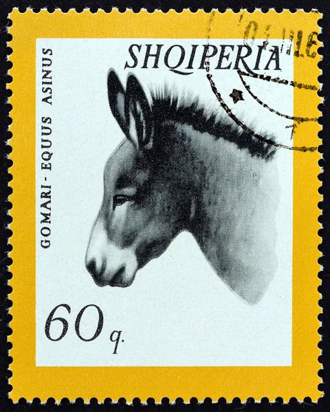 ALBANIA - CIRCA 1966: A stamp printed in Albania from the 