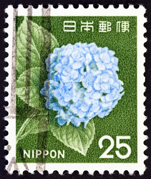 JAPAN - CIRCA 1966: A stamp printed in Japan shows Hydrangea flower, circa 1966.