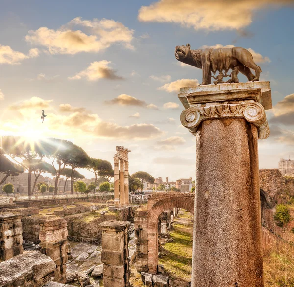 Famous Roman ruins in Rome, Italy