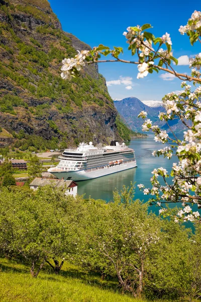 Cruise ship against blossom tree in the port of Flam, Norway