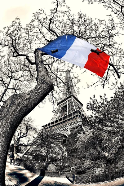 Eiffel Tower with French flag flying on the tree in France