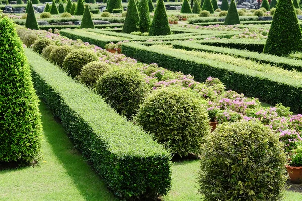 Garden path with topiary landscape