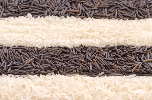Striped background of black and white rice
