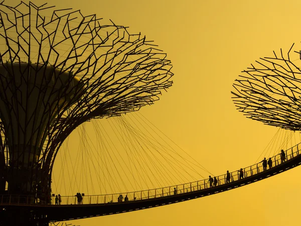 Silhouette of Gardens by the Bay.