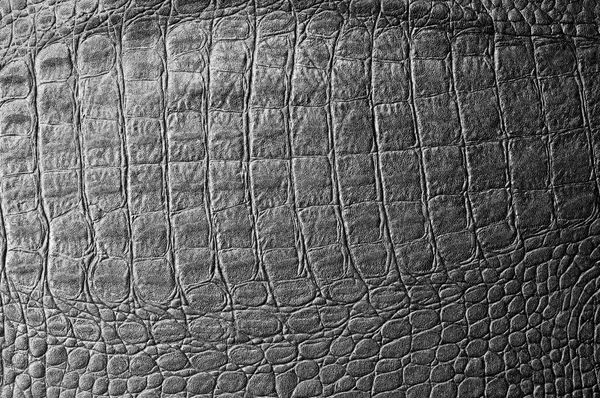 Skin crocodile black. texture