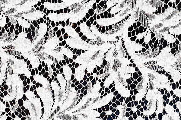 Texture lace fabric. lace on white background studio