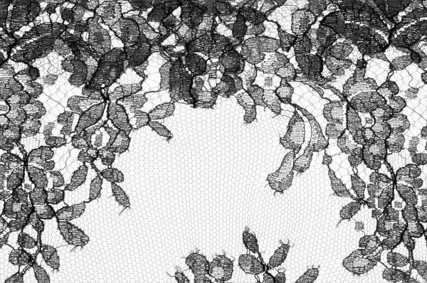 Texture lace fabric. lace on white background studio