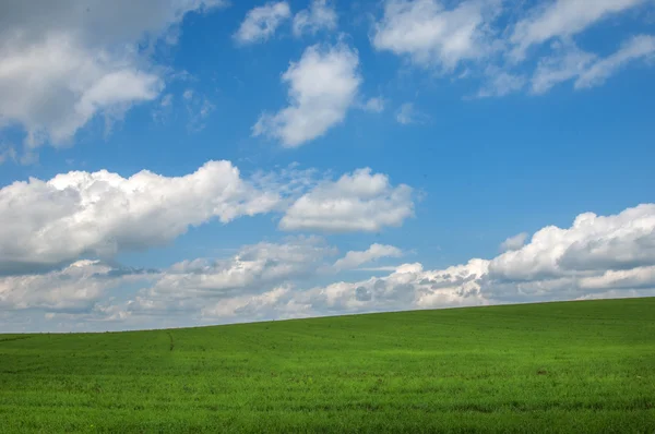 Summer country road