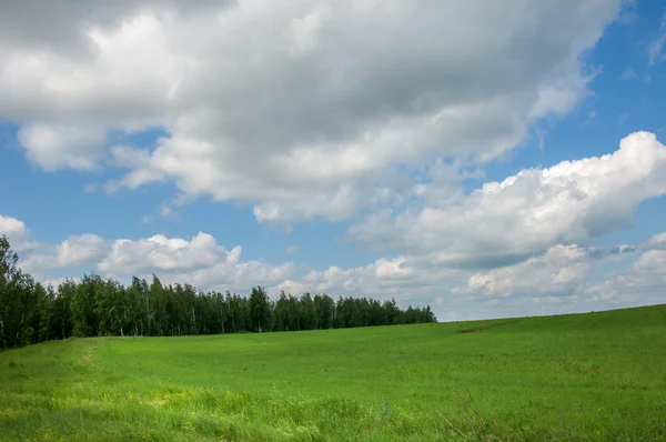 Summer country road