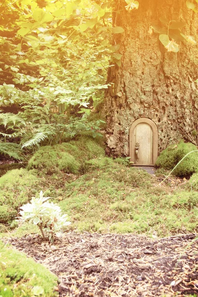Fairy tale door