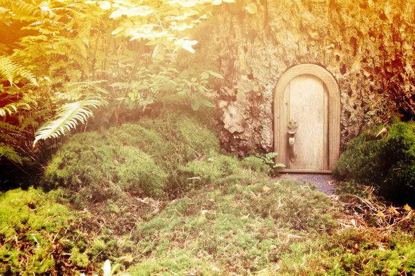 Fairy tale door
