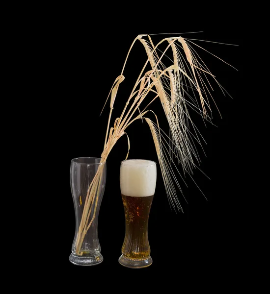 Glass of beer and barley ears on a black background
