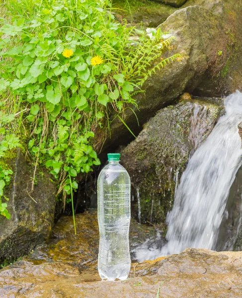 Bottle of drinking water on the background of mountain stream