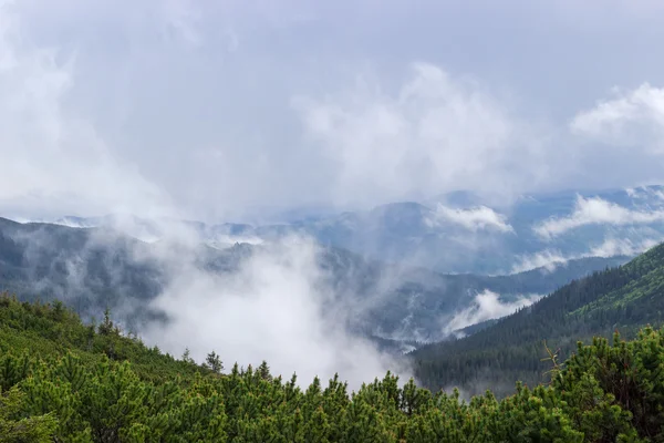 Clouds in a mountain valley after the rain