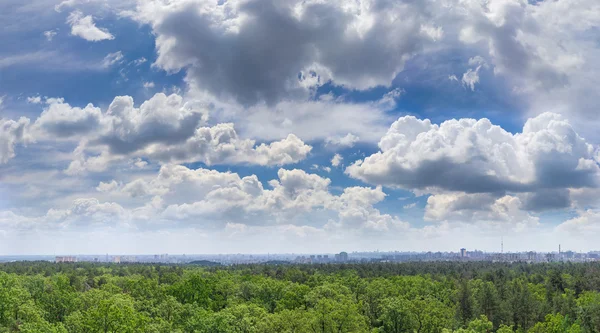 Sky with cumulus clouds over forest and modern city