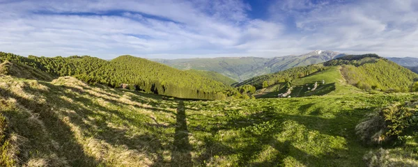 Carpathian spring landscape