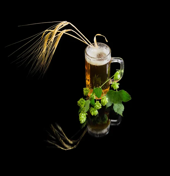 Beer glassware with beer, branch of hops, ears of barley