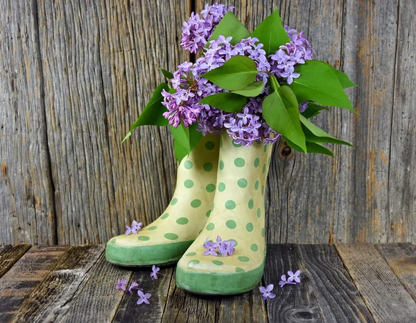 Lilac bouquet in rain boots