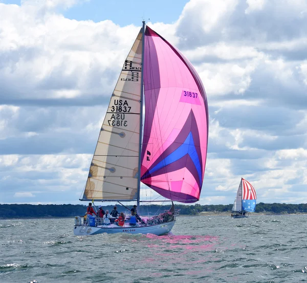 Sailboat race with colorful spinnakers