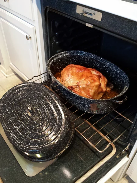 Turkey in roasting pan