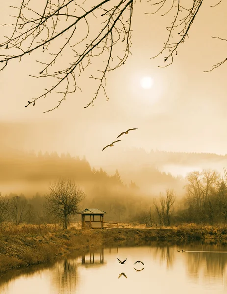 Foggy lake and three couple of birds
