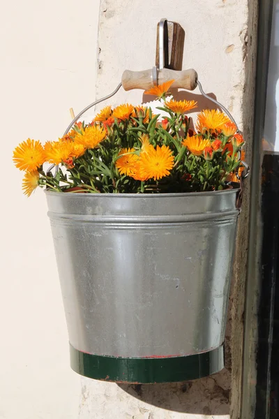 Yellow flower in metal pail