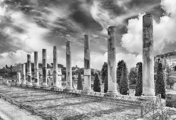 Ancient columns of the Temple of Venus, Rome, Italy