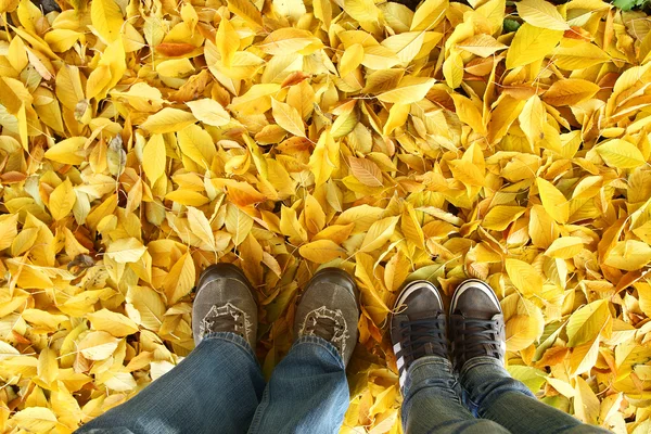 Feet on background of leaves