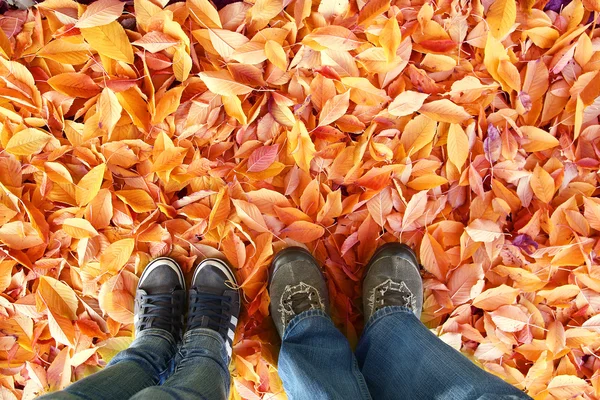Feet on background of leaves