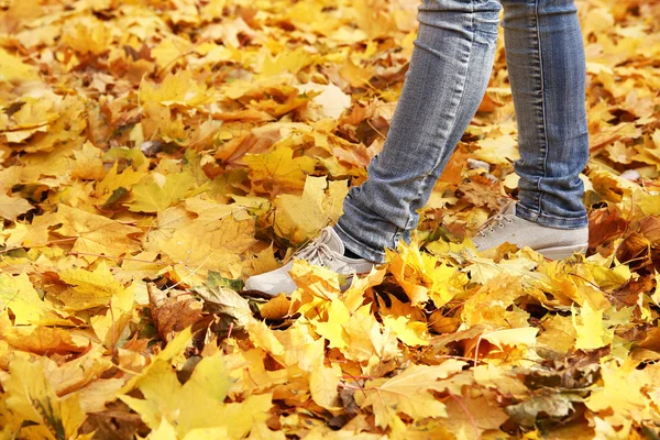 Feet on background of leaves