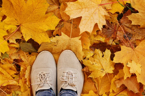 Feet on background of leaves