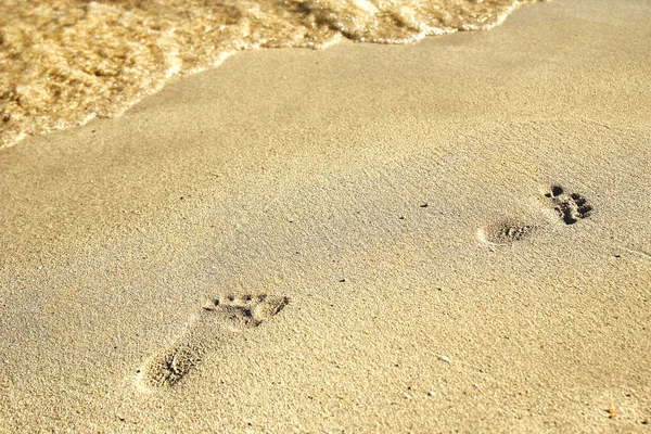 Human Footprints on sand