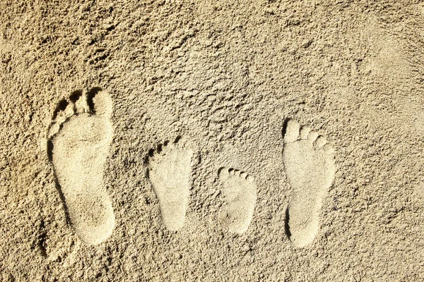 Family footprints in the sand