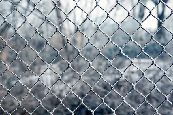 Winter mesh background
