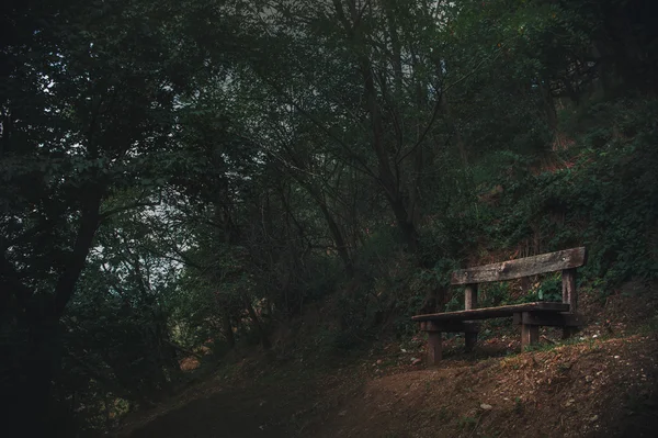 Old bench is in a dark forest