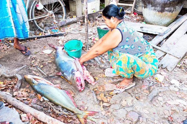 YANGON, MYANMAR - NOVEMBER 25 - Woman is cleaning fish in the co