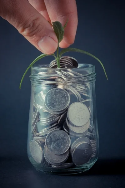 Money and plant with hand with filter effect retro vintage style