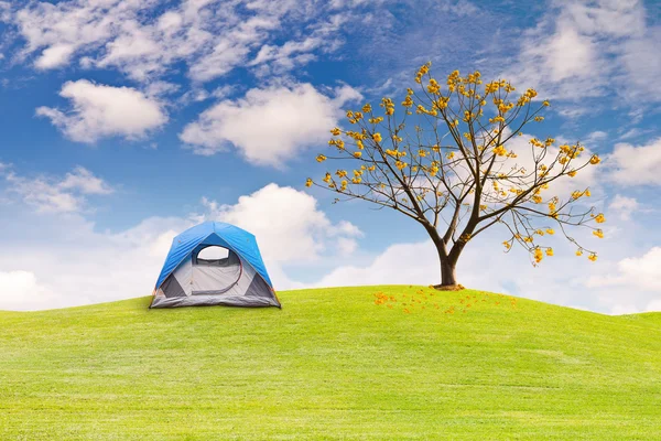 Dome tent on green grass field