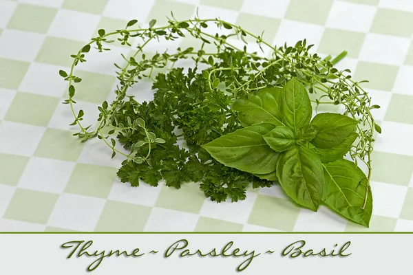 Herbs, Parsley, thyme and basil on green checkered Background with Text