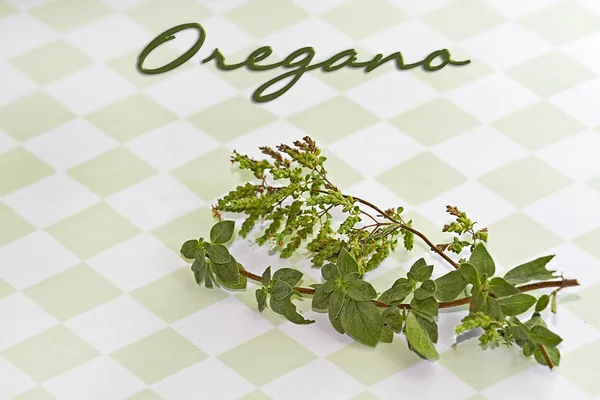 Oregano herb on green checkered background with text above