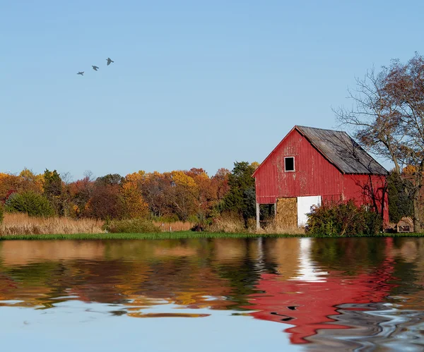 Old country barn outbuilding in fall season with colorful foliage in background. Reflections in the water were added for interest.