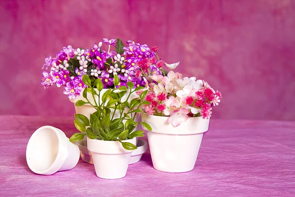 Miniature White Clay Flower Pots and flowers on Pink Background